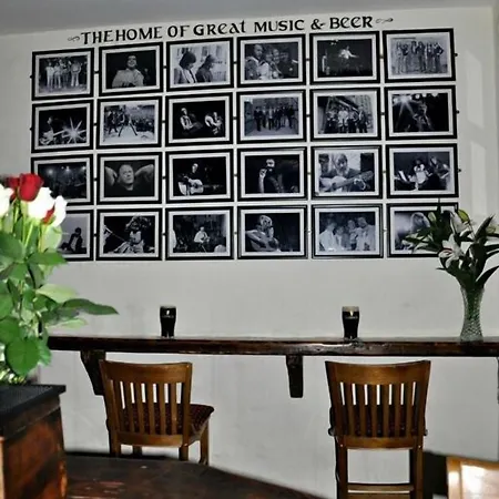 Maple 2* ダブリン